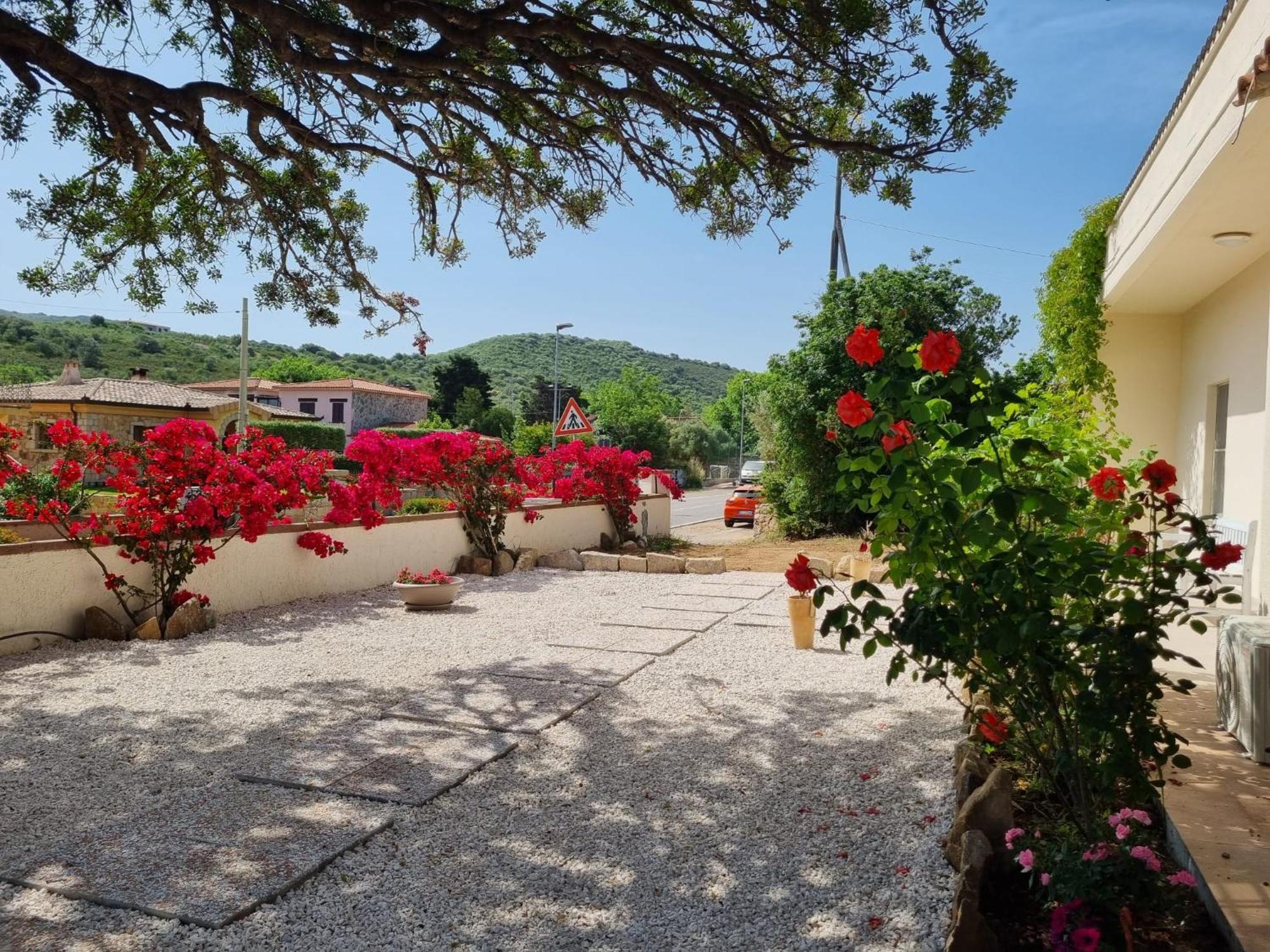 Stazzo San Teodoro Piscina Condivisa Lägenhet Exteriör bild